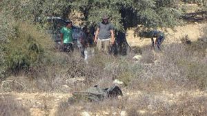 المستوطنون ينفذون اعتداءات على أراضي الفلسطينيين تحت عين جيش الاحتلال- عربي21