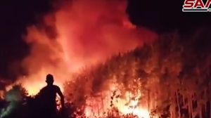 الحرائق تركزت في قرى باللاذقية وطرطوس وحمص- سانا