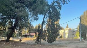 يطلق عليها الأرض البرتقالية وتقع بحي الطالبية جنوب شرق القدس المحتلة- ميدل إيست آي