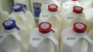 قوارير الحليب في متجر في شيكاغو - ا ف ب