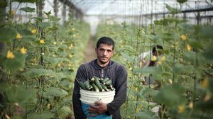 بعد 7 سنوات من المنع ... خضروات غزة في الضفة - أرشيفية