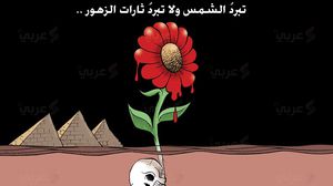 تبرد الشمس ولا تبرد ثارات الزهور بمصر ـ د.علاء اللقطة