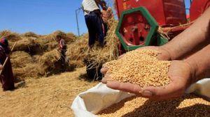 واردات إيران السنوية من القمح هبطت إلى 1.5 مليون طن في الموسم الحالي- أرشيفية