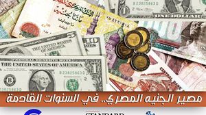 مؤسسة دولية توقعت ارتفاع سعر صرف الدولار مقابل الجنيه إلى 19.40- عربي21