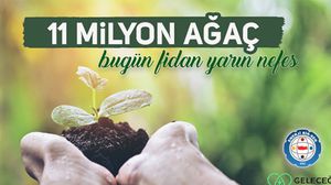 حملة التشجير تبنتها الدولة بعد اقتراح أحد المواطنين على حساب أردوغان على "تويتر"- الزراعة التركية