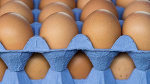 يؤثر عمر الدجاجة على حجم البيضة فكلما كبرت الدجاجة تكون البيضة أكبر- جيتي