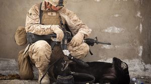 كلب عسكري - أرشيفية CC0