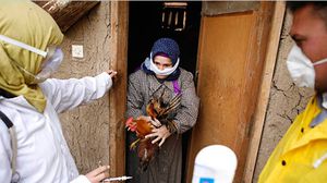 جانب من حملات تطعيم الطيور ضد المرض - أرشيفية