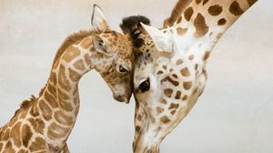 الأم حتى في عالم الحيوانات تضحي بحياتها لحماية حياة صغارها ـ أرشيفية 