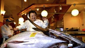 اليابانيون هم أكثر مستهلكين للعالم في التونة - أرشيفية