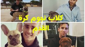 عرضت القناة أيضا صورة لاعب ريال مدريد إيسكو رفقة كلبه من فصيلة لابرادور- عربي21