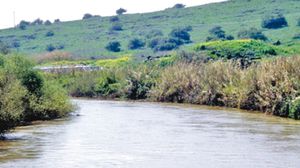 ناشطة بيئية: الاحتلال يسرق مياه النهر ويلوث الباقي بمخلفات مزارع الأسماك والأسمدة
