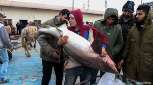 قطاع الصيد البحري في قطاع غزة يعاني قيودا مشددة يفرضها الاحتلال- نشطاء