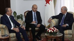 الصلابي: تركيا والجزائر وبقية دول المغرب الكبير أقدر على المساعدة لإقرار السلام في ليبيا (الأناضول) 