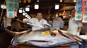 يبلغ وزن سمكة التونة 276 كيلوغراما أي أن سعر الكيلو بلغ حوالي 700 ألف ين (6,480 دولارا)- جيتي