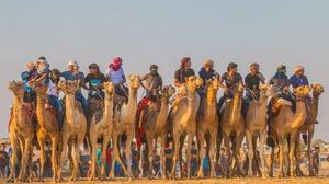 سباق الخيل جزء من تقاليد العرس البدوي في غزة- (عربي21)