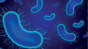 أفادت تقديرات سابقة بأنه يمكن تسجيل عشرة ملايين وفاة سنويّا بسبب مقاومة المضادات الميكروبية بحلول عام 2050