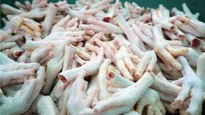 مع ارتفاع أسعار اللحوم بأنواعها اقترحت الحكومة على المصريين أكل أرجل الدجاج- جيتي