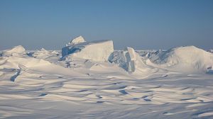 ارتفاع درجة الحرارة يمكن البعوض القطبي من النمو أسرع والخروج من مرحلة الشرنقة  - أ ف ب