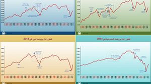 رصدت الأناضول أبرز 6 أحداث أثرت على أداء الأسواق العربية في عام 2014 - الأناضول