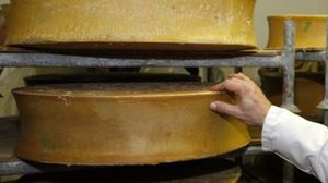 ديلي تلغراف: شركة فرنسية تستخدم مخلفات صناعة الجبن لتوليد الكهرباء - أرشيفية