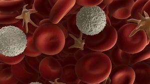 سرطان الدم واحد من أنواع الأورام الخبيثة التي تصيب ملايين البشر ـ تعبيرية
