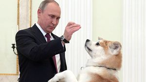 بوتين مع كلبته "يومي" خلال استقبال إعلاميين يابانيين في موسكو - وكالات