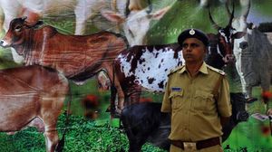 شرطي هندي يقف بجانب جدارية تحمل صورا لأبقار- أرشيفية