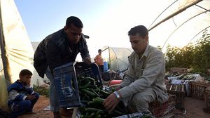 مشكلات كبيرة تحاصر الزراعة في مصر - جيتي