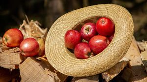 طرحت جامعة مينيسوتا نوعا من التفاح لا يتيح لمزارعي التفاح اختيار التفاح الأكثر حمرة- CCO