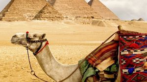 زيارة ميسي تزامنت مع رفض روسيا إعادة سياحها لمصر- أرشيفية