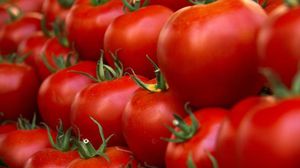 الرجال الذين شربوا عصير الطماطم لمدة ستة أسابيع كان لديهم حيوانات المنوية تتحرك بشكل أسرع وأكثر كفاءة