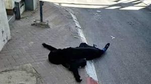 قتل الاحتلال الطالبة سماح مبارك بعد إطلاق النار عليها عند حاجز زعيم شرق القدس المحتلة- فيسبوك