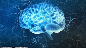 الدراسة تتناقض مع الاعتقاد السابق الذي يفيد بأن بعض وظائف الدماغ تُفقد بشكل لا رجعة فيه بعد الموت- ديلي ميل
