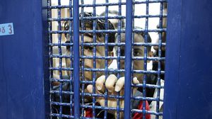 قرر 151 أسيراً فلسطينيا معتقلين في سجن "عوفر" الإسرائيلي إرجاع وجبات الطعام لرفض سياسة الاعتقال الإداري- جيتي