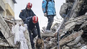 فرق الإنقاذ التركية تواصل محاولاتها لإنقاذ ضحايا الزلزال الذي ضرب تركيا وسوريا- (الأناضول)