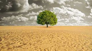 يشكل التصحر أحد مظاهر التحول المناخي