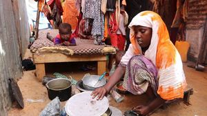 يضاعف غزو حشرة الجراد الصحراوي معاناة الصوماليين - جيتي