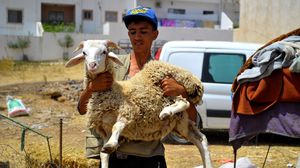 تعيش عدّة دول في شمال أفريقيا على إيقاع موجة جفاف- جيتي