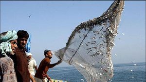 الصيادون يطالبون حكومة البحرين بالتدخل لتنظيم الصيد - (أرشيفية)
