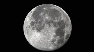 سبق أن أرسلت اليابان مسبارا ليدرس سطح القمر من مداره على ارتفاع نحو مئة كيلومتر - أ ف ب