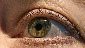 يعاني أكثر من 16 مليون أميركي من جفاف العين - أ ف ب