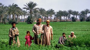 مجلس النواب المصري صوت على إعادة عقوبة الحبس للمخالفين لقرارات وزير الزراعة- جيتي 