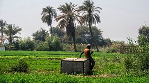 أثار بناء سد في إثيوبيا قرب حدود السودان مخاوف في مصر من انخفاض حصتها من مياه النيل- جيتي