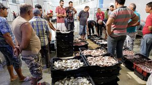  أسعار الأسماك في تونس ارتفعت بأكثر من 10 بالمائة خلال شهر مارس الماضي- جيتي 