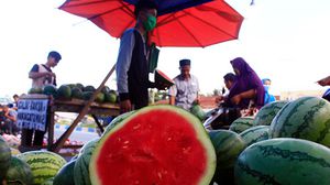 يعتبر البطيخ من أفضل الفاكهة الصيفية التي تقدم قيمة غذائية عالية وتمد الجسم بالماء- جيتي