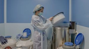 الاحتفاظ بحيوانات منوية في مختبرات للإنجاب بكييف- نيويورك تايمز