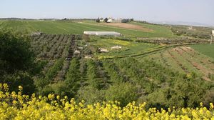 تكمن أهمية مرج ابن عامر أو سهل زرعين، في أنه يتمتع بميزة جغرافية وبموقع استراتيجي مؤثر، وبأنه أكبر سهول فلسطين على الإطلاق..