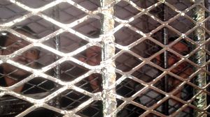 إضراب القضاة عن العمل ساهم في زيادة معناة السجناء في اليمن - عربي21
