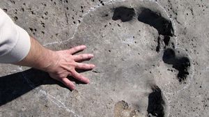 أشار علماء التنقيب إلى 90 أثرا سليما لأقدام ديناصور تمتد لأكثر من 50 مترا - أ ف ب